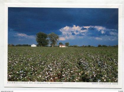 AK 072553 USA - Mississippi - Baumwollfelder bei Clarksdale