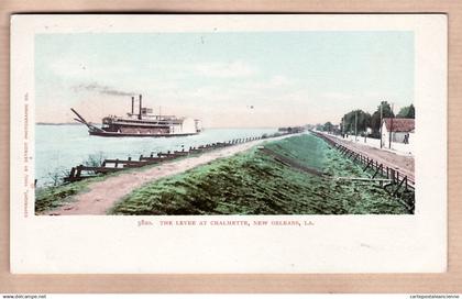 31779 / ⭐ ◉  NEW-ORLEANS Louisiana-LA The Levee at CHALMETTE Copyright 1900 By DETROIT PHOTOGRAPHIC Co N°5820