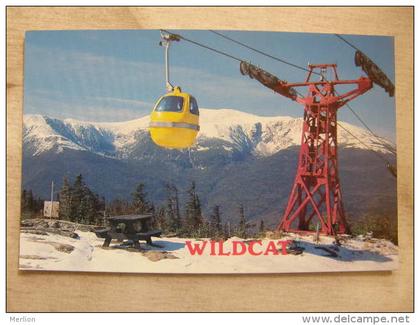 US - NH - Wildcat GOndola - Mt. Washington - Pinkham Notch -New Hampshire - D113206