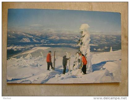 US- V NH - Black Cap Mountain  North Conway - New Hampshire   SKI  D108877