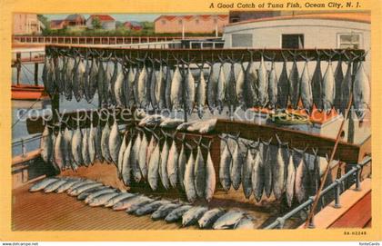 13699518 Ocean City New Jersey A Good Catch of Tuna Fish