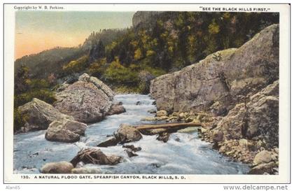 Black Hills SD South Dakota, Spearfish Canyon, c1910s/20s Vintage Postcard