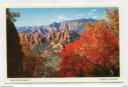 AK 116685 USA - Arizona - Sedona - Oak Creek Canyon