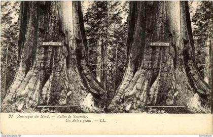 Yosemite - Stereo Card