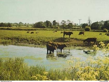 Millpond Castlethorpe Bucks Buckinghamshire Womens Institute Photo Postcard