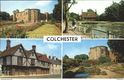 11750496 Colchester Castle Bourne Mill Old Siege House Lily Pond Colchester