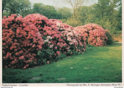 Walled Garden Cuerden Lancashire Postcard