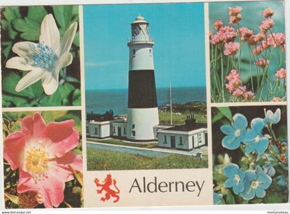 Dav : GUERNSEY : vue    ALDERNEY , phare  , fleurs