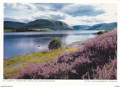 AK 172007 SCOTLAND - St. Mary's Loch bei Moffat