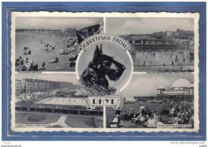 Carte Postale Pays de Galles  Rhyl chien  trés beau plan