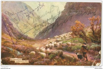 A Mountain Pass - The Grampians old postcard travelled 1912 from Knjazevac Serbia bb151014