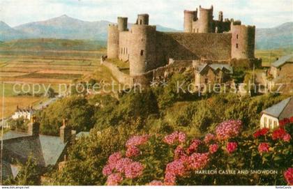 43278385 Gwynedd Wales Harlech Castle and Snowdon Gwynedd Wales