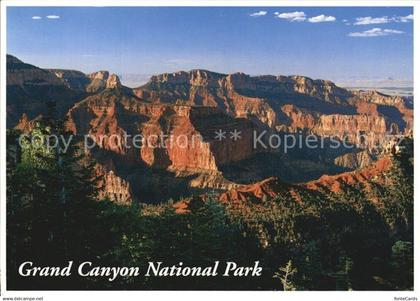 72405349 Grand Canyon National Park Panorama Grand Canyon