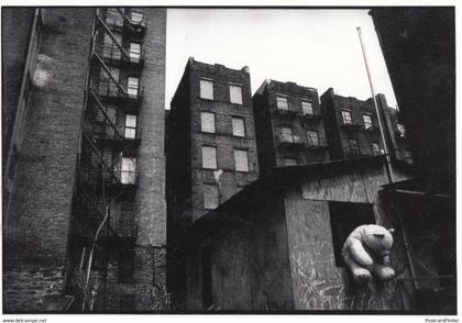 Giant Vandal Vandalised On Toy Teddy Bear in New York 1980s Postcard