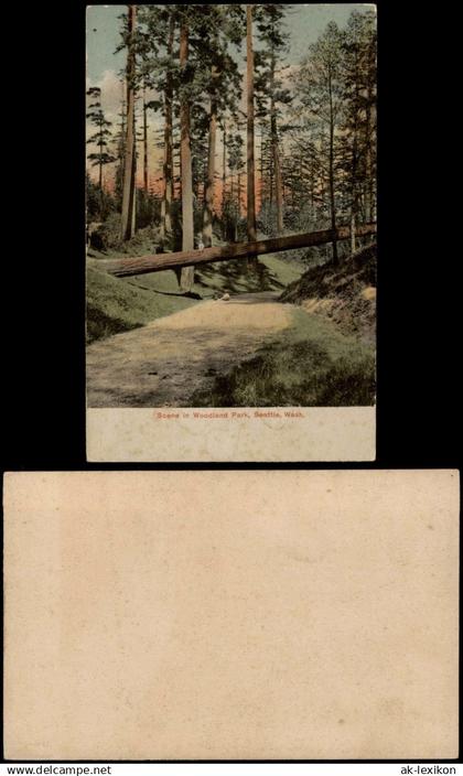 Postcard Seattle Scene in Woodland Park, Seattle, USA 1920