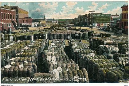 MACON, GA - Cotton Scene