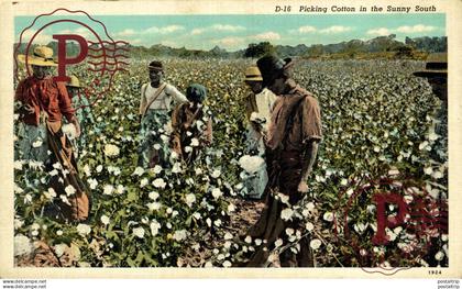 PICKING COTTON IN THE SUNNY SOUTH Black Americana   afro americana coleccionblack