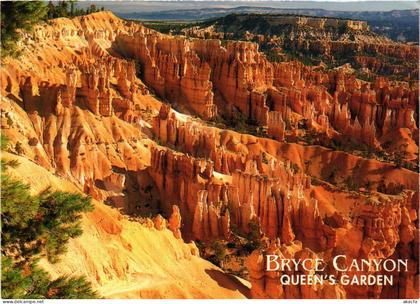 CPM Utah – Bryce Canyon – Queen's Garden USA (850467)