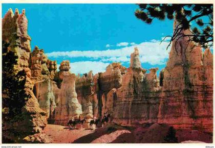 Etats Unis - Bryce Canyon National park - Queen Victoria - Etat de Utah - Utah State - CPM - Carte Neuve - Voir Scans Re