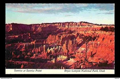 Etats Unis - Bryce Canyon National Park - Sunrise at Sunrise Point - Carte Neuve - CPM - Voir Scans Recto-Verso