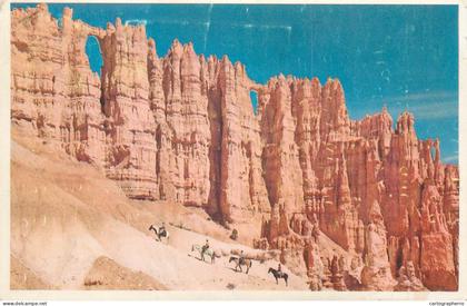 Postcard USA United States UT Utah Wall of windows 1968 Bryca Canyon