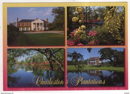 AK 229857 USA - South Carolina - Charleston's Plantations