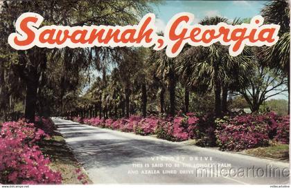 * SAVANNAH - Postcard Folder with 12 Images