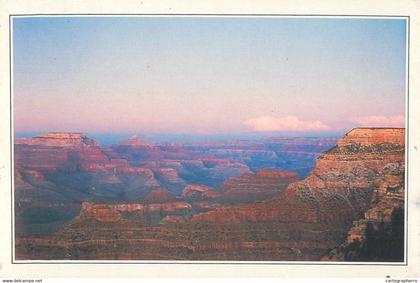 Postcard USA AZ Arizona the Grand Canyon