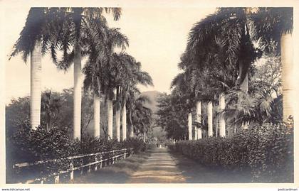 Hawaii - HONOLULU - Palm Avenue - REAL PHOTO - Publ. unknown