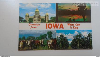 D167820  IOWA  -US