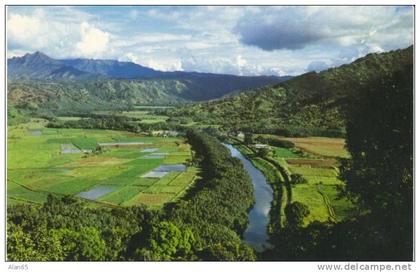 Kauai Island HI Hawaii, Hanalei Valley, c1970s Vintage Postcard