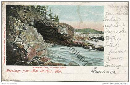 Maine - Greetings from Bar Harbor - Anemone Cave on Ocean Drive - Publisher Chisholm Bros Portland Me gel. 1904