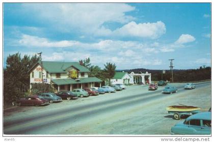 Irish Hills MI Michigan, Horns Roadside Restaurant, Autos, c1950s Vintage Postcard