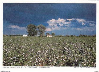 AK 172081 USA - Mississippi - Baumwollfelder bei Clarksdale