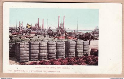 31948 / NEW-ORLEANS Louisiana-LA COTTON on the LEVEE Copyright 1901 By DETROIT PHOTOGRAPHIC Co N°5821