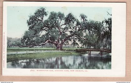 31950 / NEW-ORLEANS Louisiana-LA WASHINGTON oak AUDUBON park Copyright 1900 By DETROIT PHOTOGRAPHIC Co N°5817