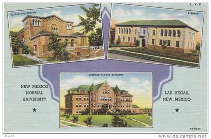 New Mexico Normal University, Las Vegas NM, Vintage Curteich Linen Postcard, Library Auditorium