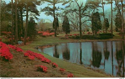 Etats-Unis - VA - Virginia - Norfolk - Charm spot of Tidewater - état