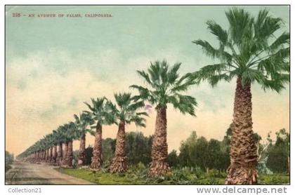 PALM SPRINGS ... AN AVENUE