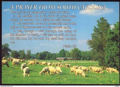 AK 078591 USA - South Carolina - A prayer from South Carolina