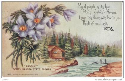 South Dakota, State Flower Pasque, Log Cabin by Lake, c1900s/10s Vintage Postcard