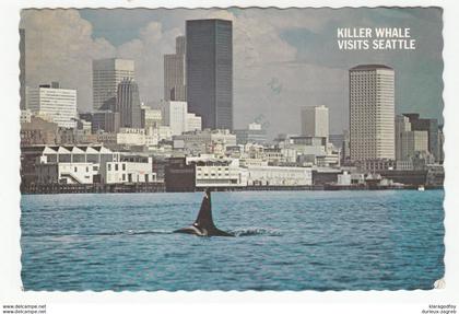 Killer Whale visits Seattle postcard posted 1978 b200520