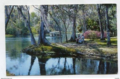 AK 134552 USA - Florida - Silver Springs - along Silver River