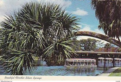 AK 194388 USA - Florida - Silver Springs