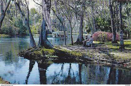 AK 209401 USA - Florida - Silver Springs - along Silver River