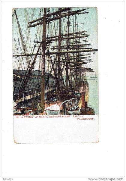 Tacoma WA Washington - a forest of masts - shipping scene - N°23 - bateau voilier mats