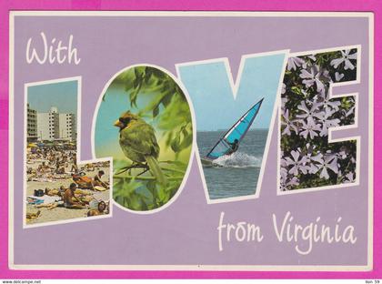 279972 / Virginia Beach - Virginia is for Lovers !  hotel beach bird flowers Windsurfing Windsurfen Planche a voile PC