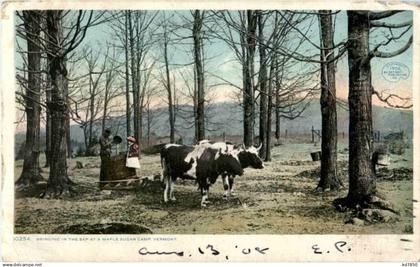 Maple Sugar Camp Vermont