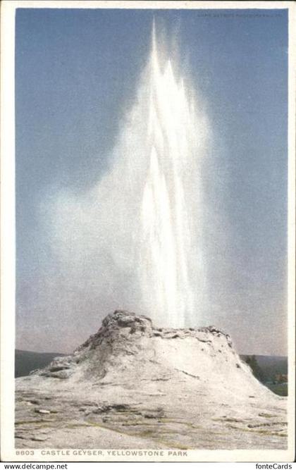 11491553 Yellowstone National Park Castle Geyser