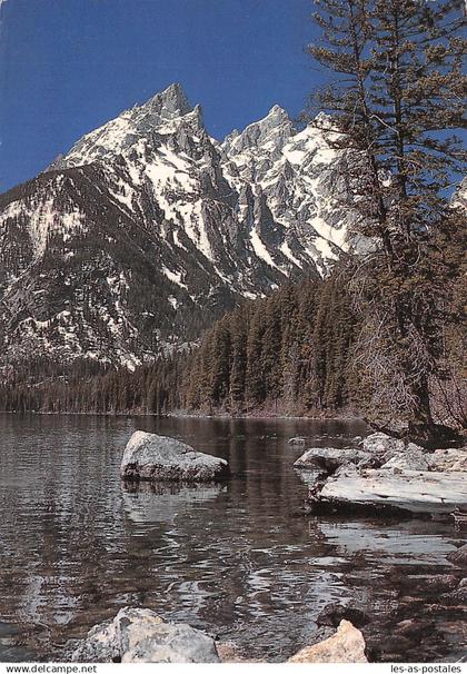 USA WY JENNY LAKE WYOMING